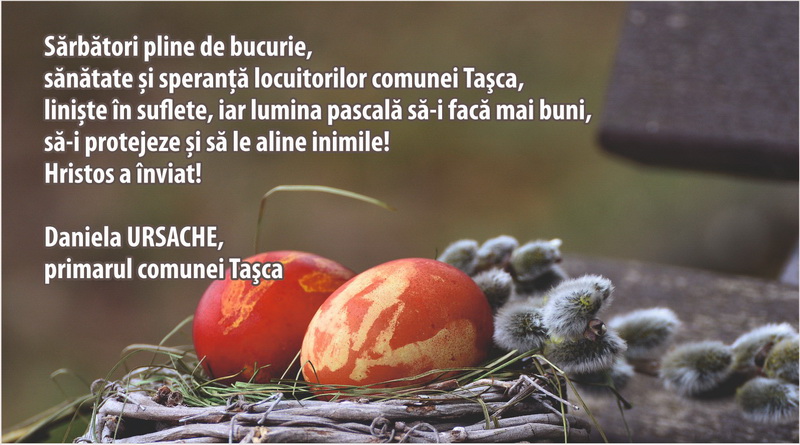 tasca resize
