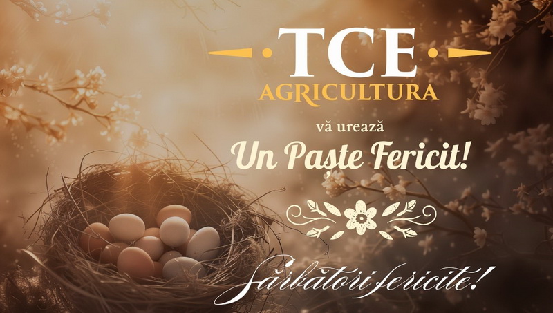 tce resize