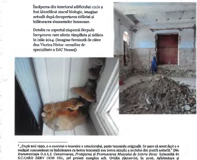 FOTO 1 bicaz din studiul prezentat consilierilor ii