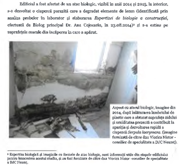 FOTO 2 bicaz din studiul de prezentat consilierilor