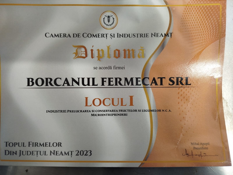 borcanul fermecat 3 resize