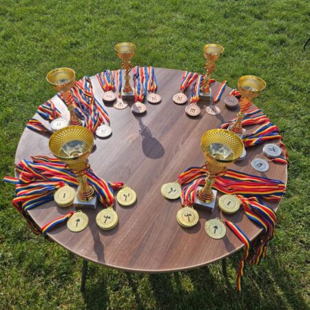 Competitii SVSU si SPSU 3