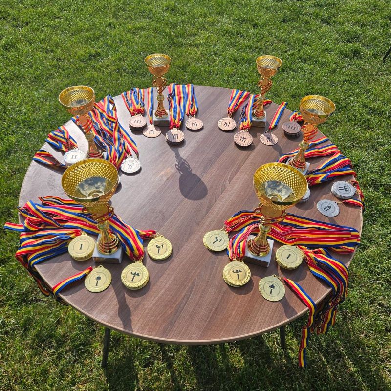 Competitii SVSU si SPSU 3