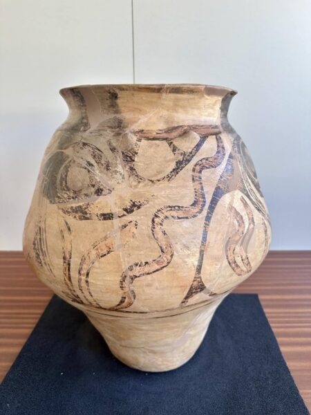 Vasul de Cucuteni, restaurat, promovat de UNESCO la Paris