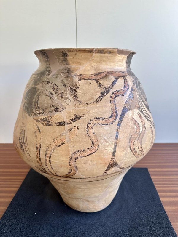Vasul de Cucuteni, restaurat, promovat de UNESCO la Paris
