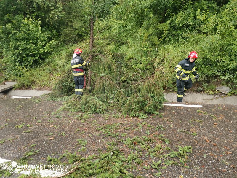 Ravagiile furtunii în Neamț: 1362 de familii fără curent, străzi inundate, copaci doborâți