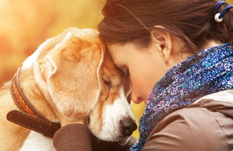 salubritas targ de adoptii 1