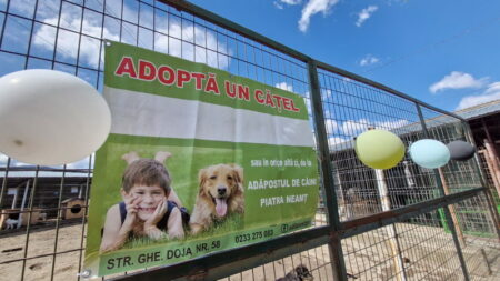 salubritas targ de adoptii 5