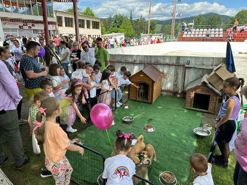 SC Salubritas SA – Târg de adopții căței în ștrandul din Piatra-Neamț