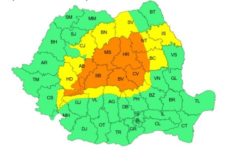 Coduri