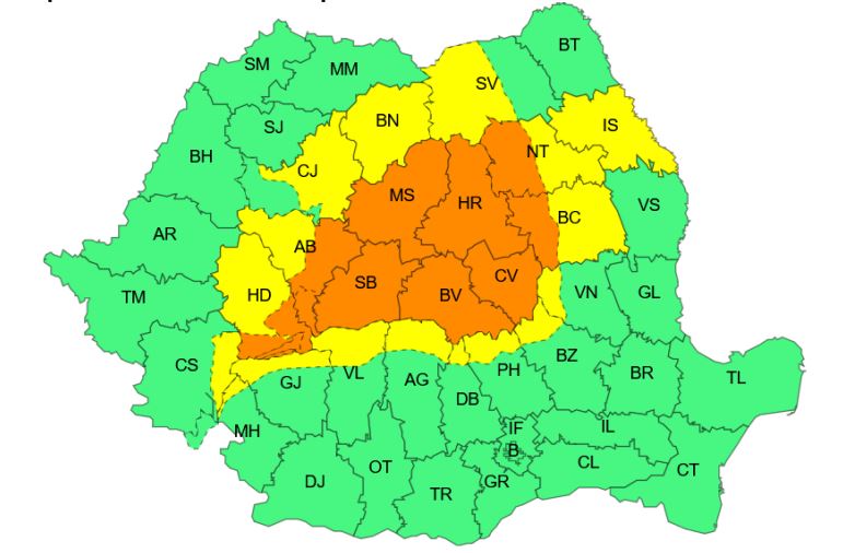 Coduri