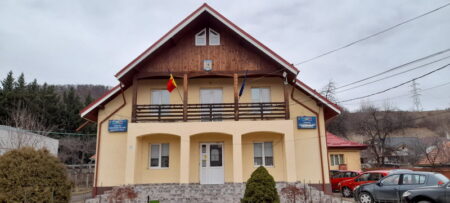 alexandru cel bun primaria resize