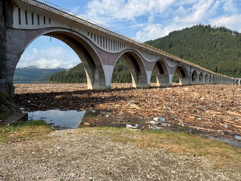 inundatii 2025 piciorul viaductului de la poiana largului si invazia lemnelor si pet urilor resize