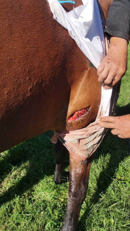 WhatsApp Image 2025 08 28 at 13.44.41