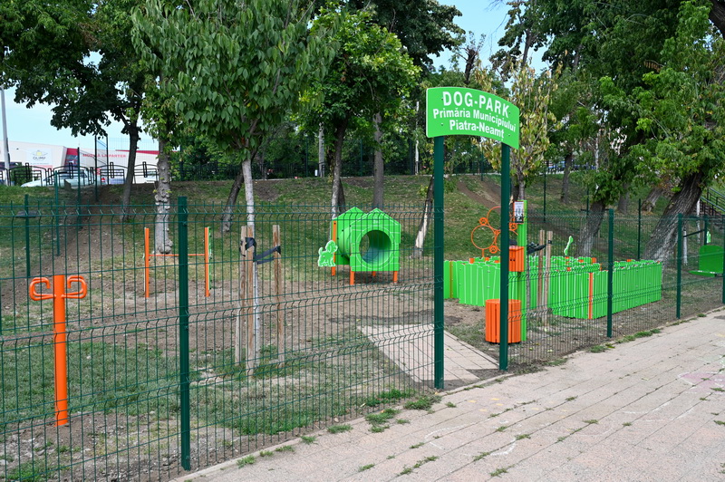 dogpark aurora 15 resize