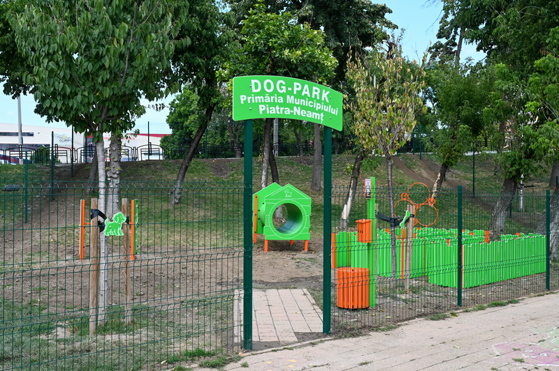 dogpark aurora 16 resize