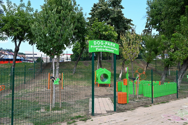 dogpark aurora 17 resize