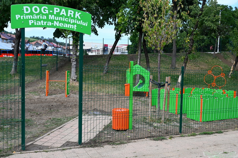 dogpark aurora 19 resize