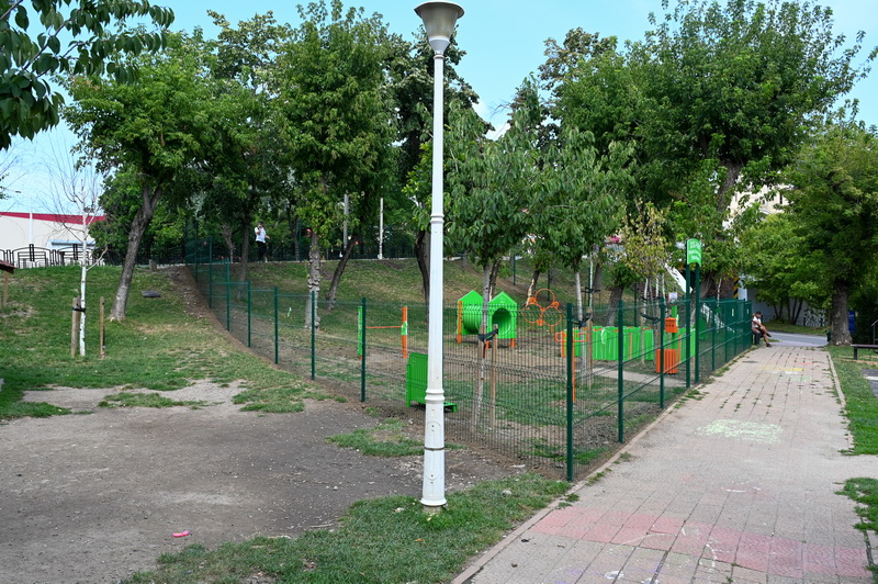 dogpark aurora 1 resize