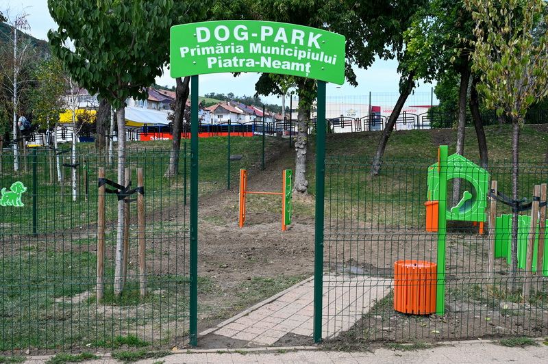 dogpark aurora 20 resize