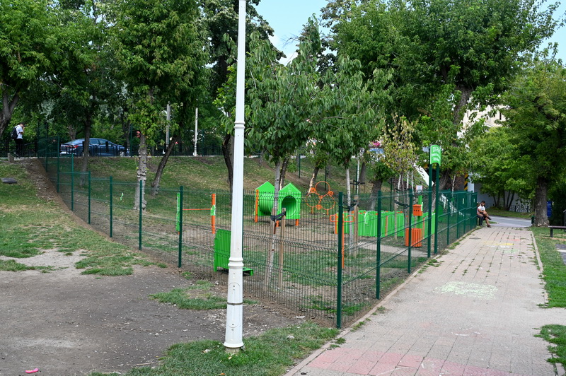 dogpark aurora 21 resize