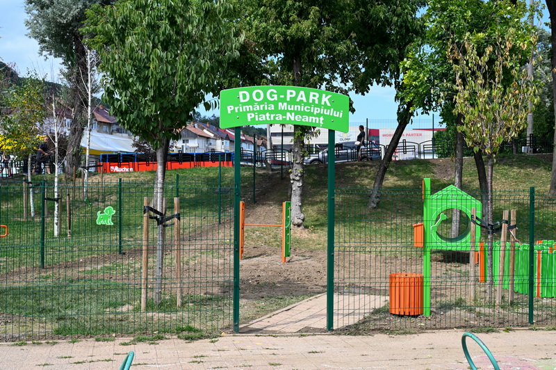dogpark aurora 2 resize