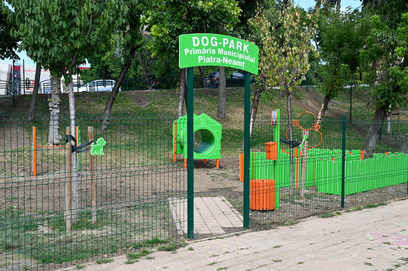 dogpark aurora 4 resize