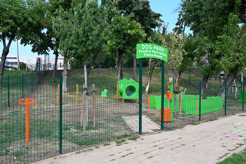dogpark aurora 5 resize