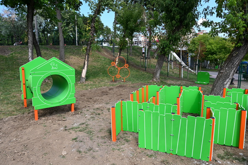dogpark aurora 7 resize