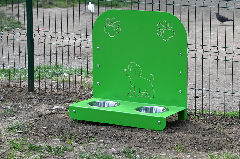 dogpark aurora 8 resize