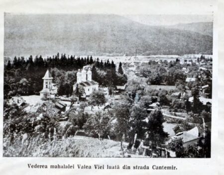 vedere Valea Viei