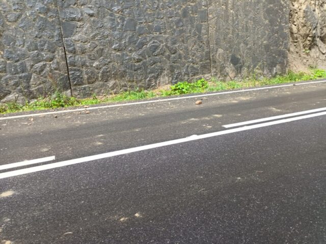 Sute de gospodării din Neamț au rămas fără energie electrică din cauza vântului 3 WhatsApp Image 2025 09 01 at 09.24.06