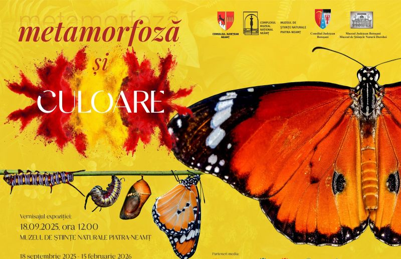 Eveniment. Expoziția temporară de fluturi exotici la Piatra Neamț WhatsApp Image 2025 09 16 at 08.50.05