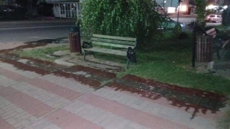 farmacia clinica targu neamt