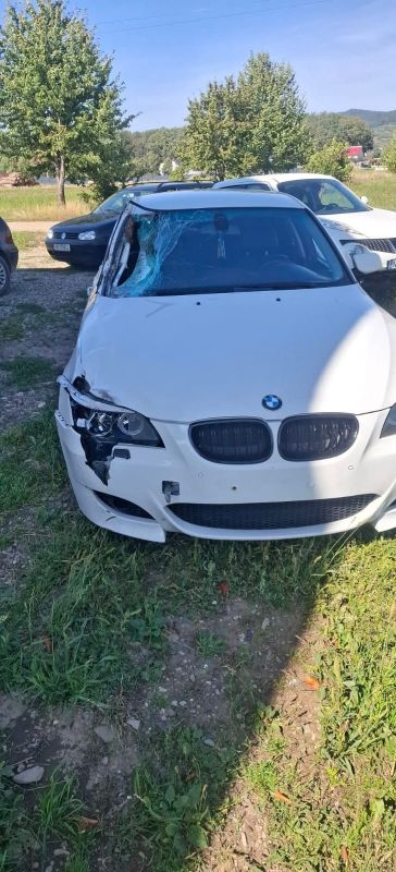 Foto - video. Accident cu cai pe drumul național care traversează comuna Vânători-Neamț 1 masina 1