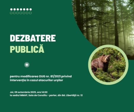Video – foto. Proiect cu impact. Urșii periculoși vor putea fi împușcați, dacă sunt în localitate! WhatsApp Image 2025 10 27 at 11.25.26