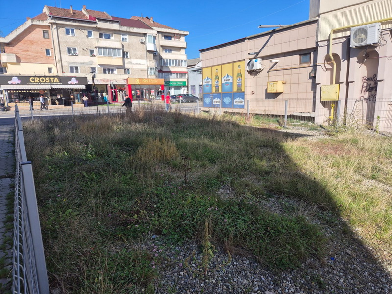 De toate pentru toți, din Neamț / Bălării ”liberale” în buricul Târgului 1 balarii pnl 1 resize