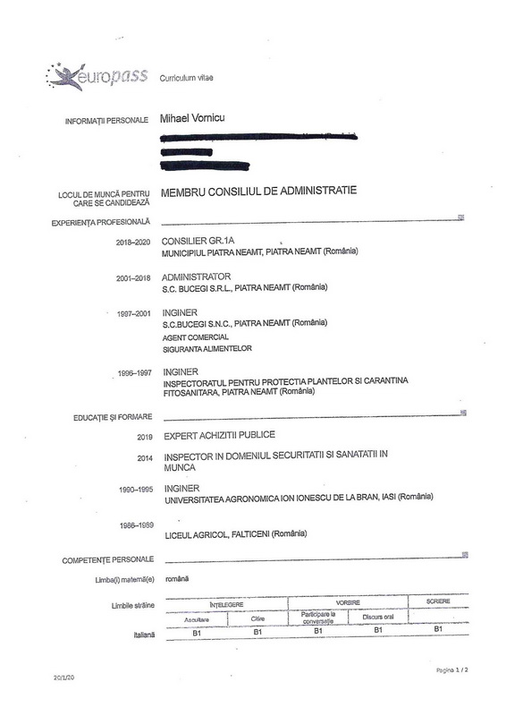 cv mihael vornicu