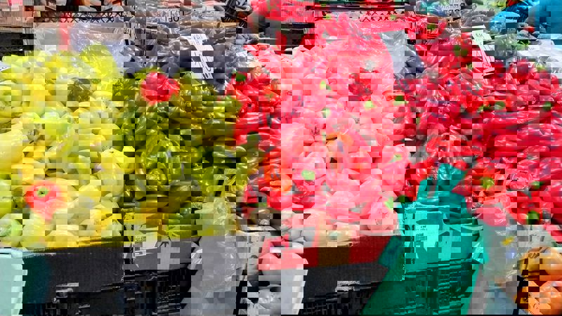 Piatra Neamț. S-a deschis magazinul Penny de la Piața Centrală. Vezi o comparație cu prețurile din piață 3 piata 1