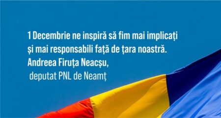 Andreea Neacsu