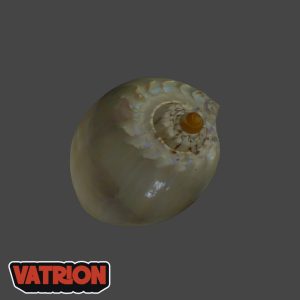 VATRION SCOICA 3D 300x300 1