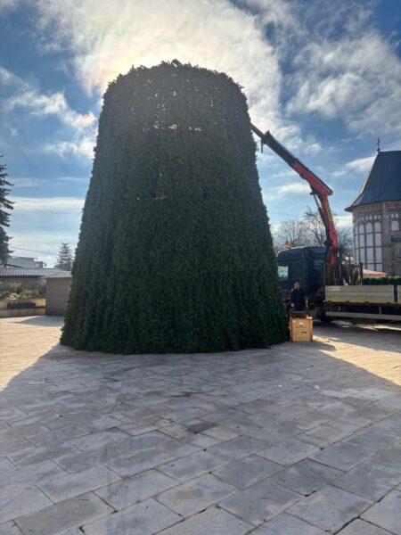 WhatsApp Image 2025 11 20 at 11.54.08