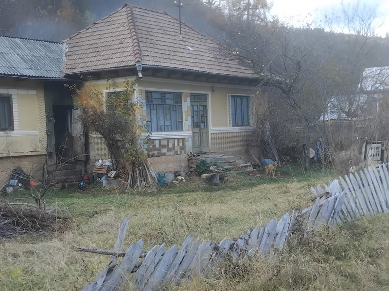 Oameni printre noi. Viață cu 475 de lei pe lună 2 bicazu ardelean florin pintea 2