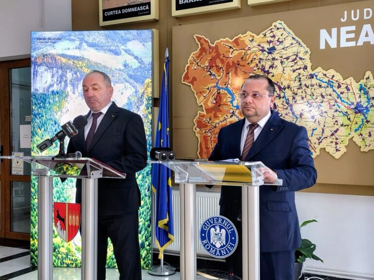 harpa si bourceanu.nou