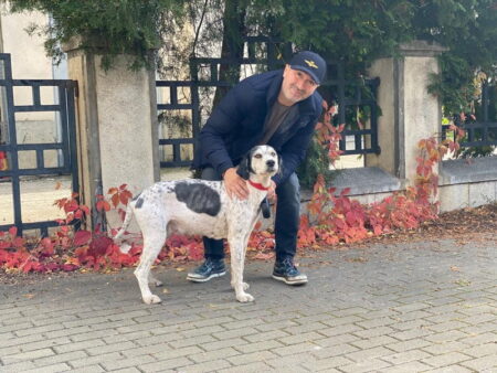 Președintele C.J. s-a răzgândit! ADI și Compartimentul pentru Protecția Animalelor rămân…dar se reorganizează! ionel arsene catel