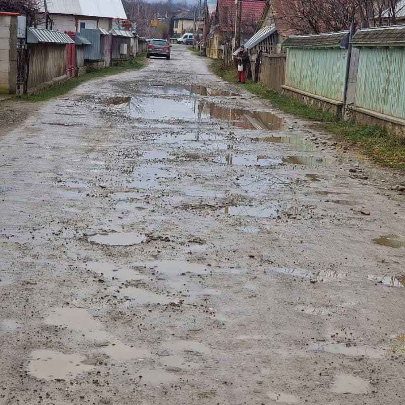 Un „sat” în orașul Târgu-Neamț: strada Aprodu Purice din Humulești
