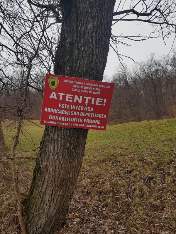 Foto Poiana Slatinii din Târgu-Neamț, transformată într-o groapă de gunoi 6 WhatsApp Image 2025 12 12 at 16.37.13