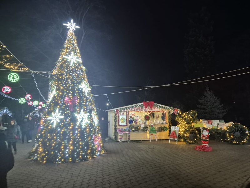 Foto. Târgușorul de iarnă „Târgu-Neamț de poveste”, în câteva imagini și impresii 3 WhatsApp Image 2025 12 14 at 19.28.46