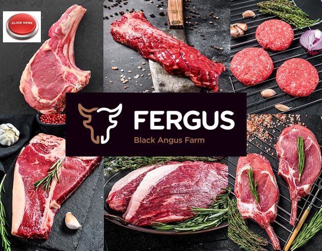 WhatsApp Image 2025 12 15 at 11.02.04