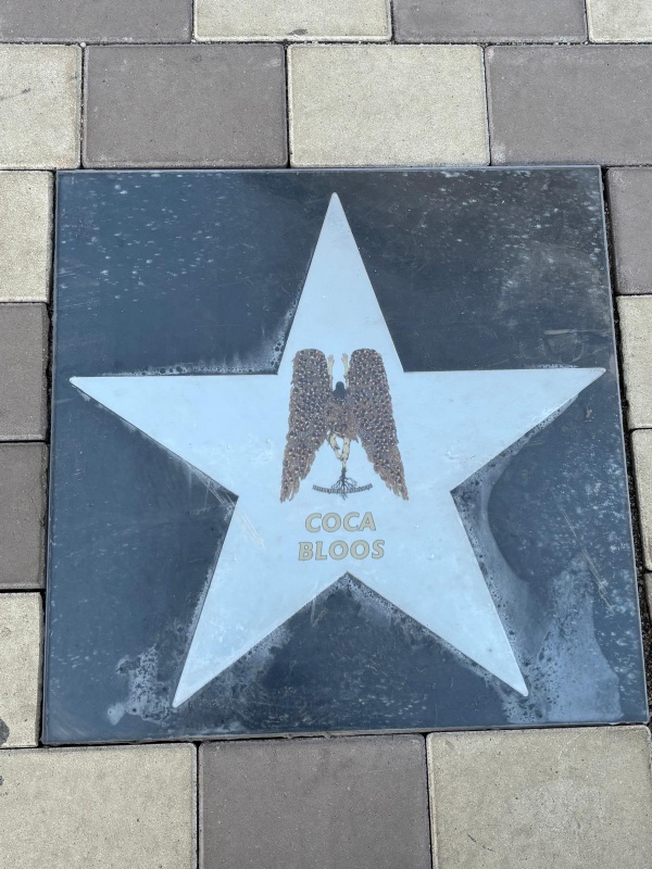 FOTO. Ceremonia de dezvelire a 3 noi stele pe Aleea Personalităților din Piatra Neamț 5 WhatsApp Image 2025 12 19 at 16.08.01 2